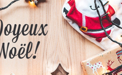 L'ENSEIRB-MATMECA vous souhaite de joyeuses fêtes de fin d'année ! 